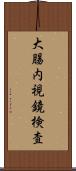 大腸内視鏡検査 Scroll
