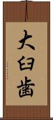 大臼歯 Scroll