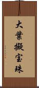 大葉擬宝珠 Scroll