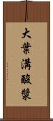 大葉溝酸漿 Scroll