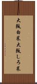 大阪白菜;大阪しろ菜 Scroll