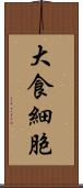 大食細胞 Scroll