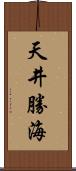 天井勝海 Scroll