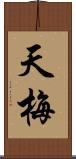 天梅 Scroll
