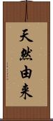 天然由来 Scroll