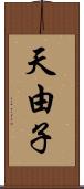 天由子 Scroll