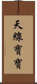 天線寶寶 Scroll