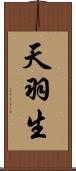天羽生 Scroll