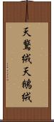 天鵞絨 Scroll