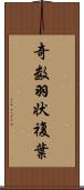 奇数羽状複葉 Scroll