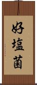 好塩菌 Scroll