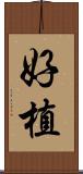 好植 Scroll