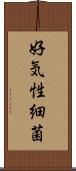好気性細菌 Scroll