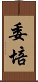 委培 Scroll