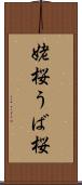 姥桜 Scroll