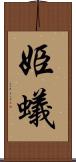 姫蟻 Scroll