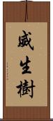 威生樹 Scroll