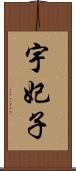 宇妃子 Scroll
