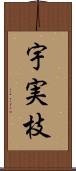 宇実枝 Scroll