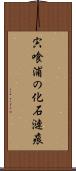 宍喰浦の化石漣痕 Scroll