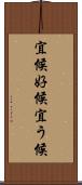 宜候 Scroll