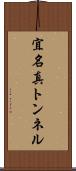 宜名真トンネル Scroll