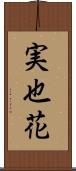 実也花 Scroll