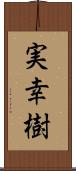 実幸樹 Scroll