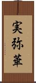 実弥華 Scroll