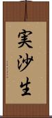 実沙生 Scroll