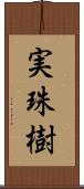 実珠樹 Scroll