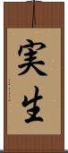 実生 Scroll