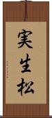 実生松 Scroll