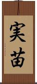 実苗 Scroll