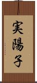 実陽子 Scroll