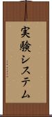 実験システム Scroll