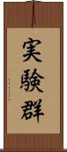 実験群 Scroll