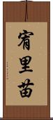 宥里苗 Scroll