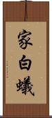 家白蟻 Scroll