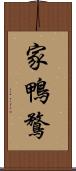 家鴨 Scroll