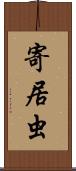 寄居虫 Scroll