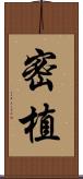 密植 Scroll