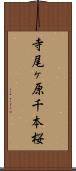 寺尾ヶ原千本桜 Scroll