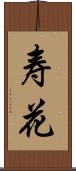 寿花 Scroll
