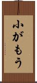 小がもう Scroll