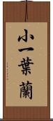 小一葉蘭 Scroll