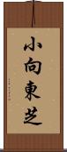 小向東芝 Scroll