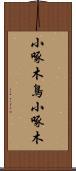 小啄木鳥 Scroll