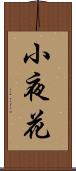 小夜花 Scroll