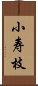 小寿枝 Scroll